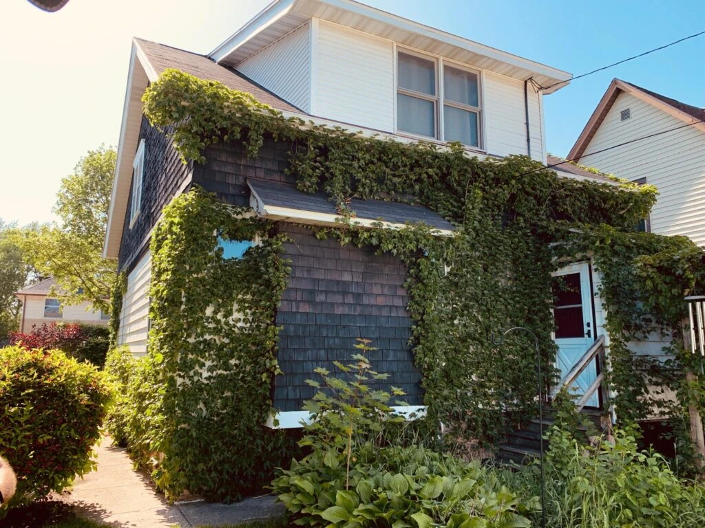 Why Seniors Downsizing Choose a Cash Home Sale